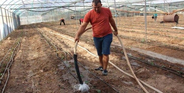 45 bin dekar alanda 130 milyon fidan toprakla buluştu
