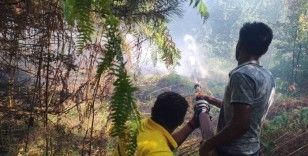 Kastamonu’daki orman yangını büyümeden söndürüldü
