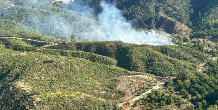 Honaz'da orman yangını