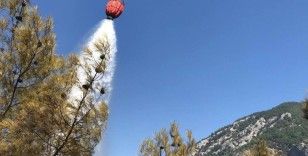 Adana'da orman yangını söndürüldü