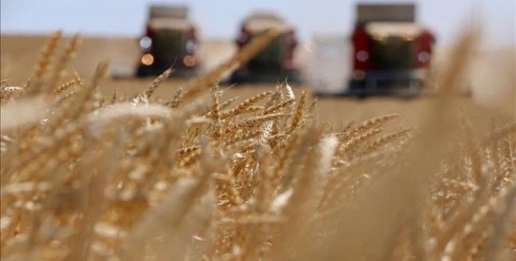 Tarımsal girdi fiyat endeksi temmuzda aylık bazda yüzde 6,56, yıllık yüzde 34,32 arttı