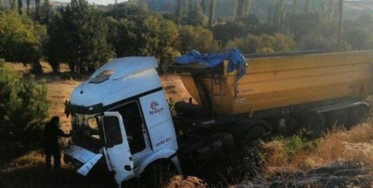 Kontrolden çıkan hafriyat kamyonu tarlaya uçtu: 1 yaralı
