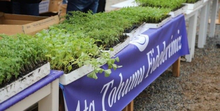 Bodrum Belediyesi üreticilere fide desteği verilecek