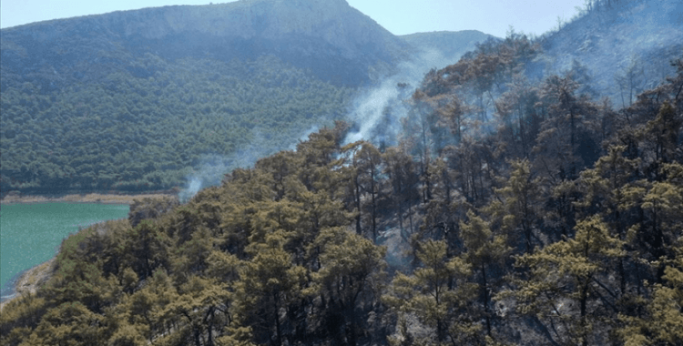 İzmir'deki orman yangınında 260 hektar alan zarar gördü