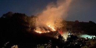 Kocaeli'de anız yangını: Köpek dumanların arasından kurtarıldı