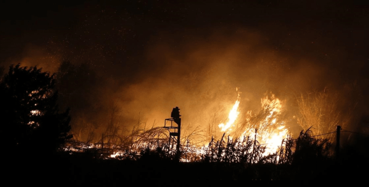 İtalya'nın Sicilya Adası'nda orman yangınları yerleşim yerlerini tehdit ediyor