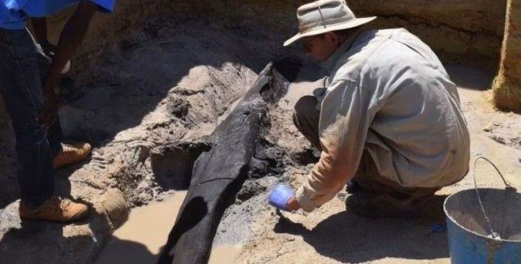 Zambiya'da 500 bin yıllık ahşap yapı bulundu