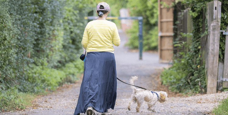 Avrupa'da binlercesi terk ediliyor ama sokaklarda sahipsiz hayvanlara rastlanmıyor