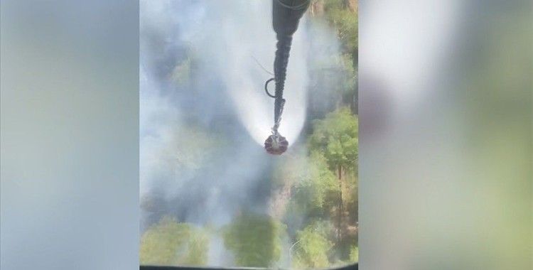Bursa'da çıkan orman yangınına müdahale ediliyor