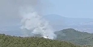 Kütahya’da orman yangını
