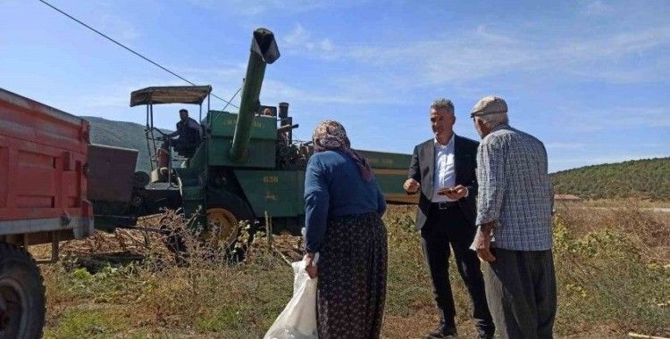 Yağlık ayçiçek üretimi rekor kırdı
