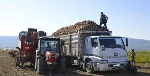 Burdur’da şeker pancarı hasadı sürüyor
