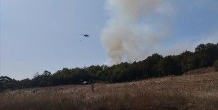 Kocaeli'de ormanlık alanda yangın çıktı
