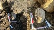Düzce'de antik kentte bulunan Büyük İskender'e ait heykel başı arkeologları heyecanlandırdı