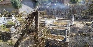 Mezarlıkta çıkan yangın söndürüldü
