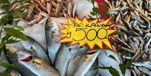 Balık çeşidi az olunca fiyatlar yükseldi

