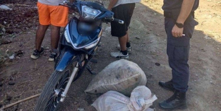 Jandarma incir hırsızlarına göz açtırmıyor
