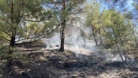 Kastamonu’da orman yangını: Ekiplerin müdahalesi ile kısa sürede söndürüldü
