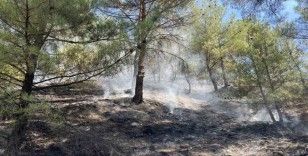 Kastamonu’da orman yangını: Ekiplerin müdahalesi ile kısa sürede söndürüldü
