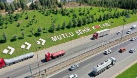 Yol kenarlarına estetik dokunuş
