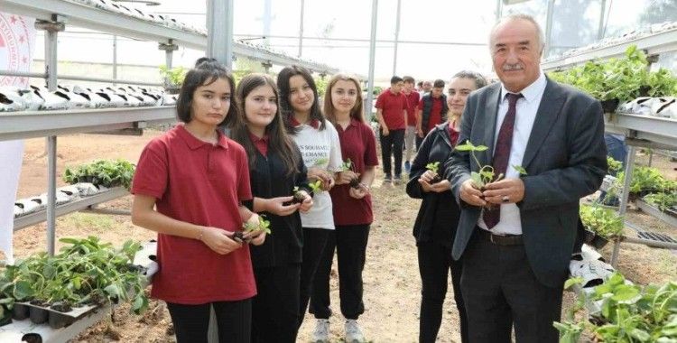 Sarıcakaya’da çilekler, topraksız tarım ve su kültürü tekniği ile yetişecek