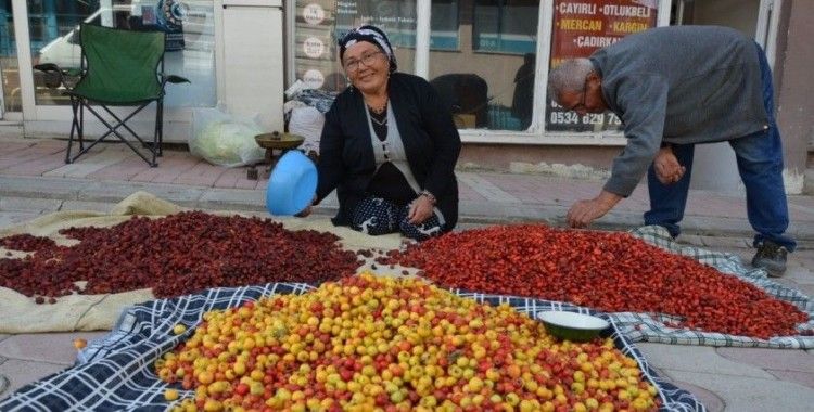 Tercan dağlarında yetişen yaban meyveleri pazar tezğahlarını süslüyor
