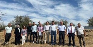 Nazilli’de Organize Sanayi ve Serbest Bölge için çalışmalar başladı
