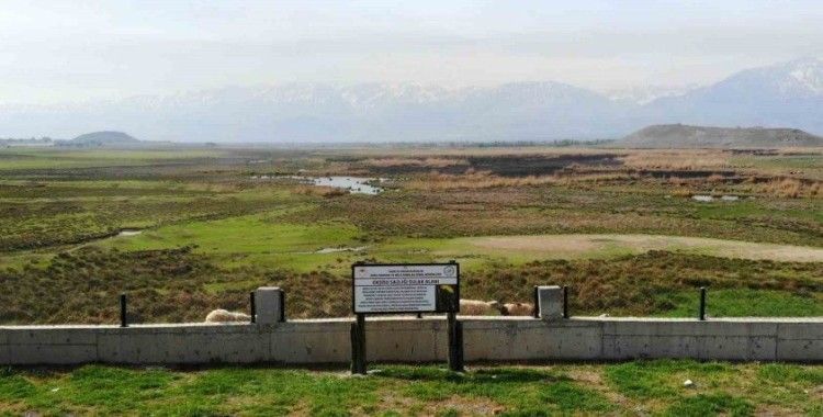 Göçmen kuşların Afrika- Asya yolculuğunun mola noktası: Ekşisu Sazlığı Sulak Alanı
