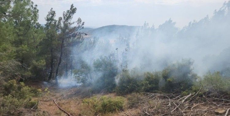 Gelibolu’da yıldırım düşmesi sonucu çıkan orman yangını kontrol altına alındı
