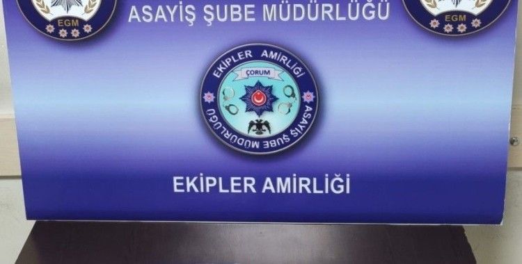 Huzur uygulamasında 10 silah ele geçirildi
