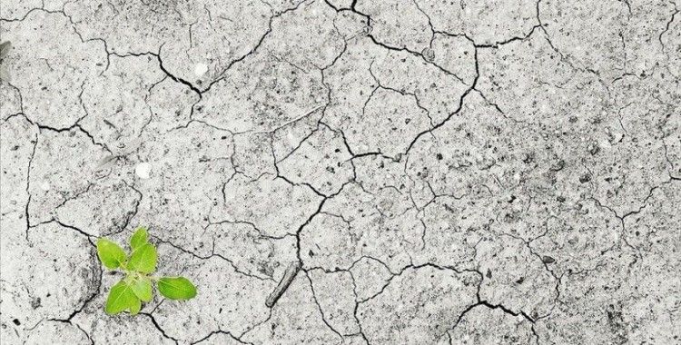 Dünya Meteoroloji Örgütü Genel Sekreteri Taalas'tan iklim değişikliğine dair uyarılar