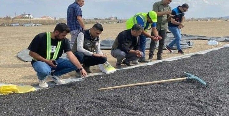 Emirdağ’da ayçiçeği hasadı başladı
