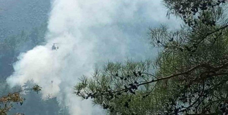 Adana’da orman yangınları kontrol altına alındı
