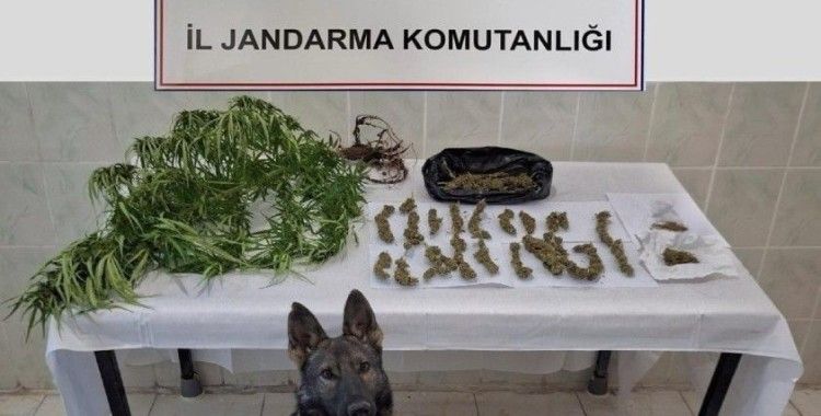 Erzincan’da jandarma ekipleri suça geçit vermiyor
