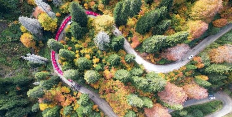 Cumhuriyetin 100. yılında 100 metrelik bayrakla Örümcek Ormanları’nda yürüdüler
