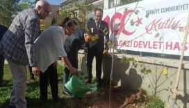 Battalgazi Devlet Hastanesi’nde 100. Yıl fidan dikimi gerçekleştirildi
