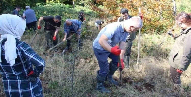 100 adet yabani meyve fidanı dikildi
