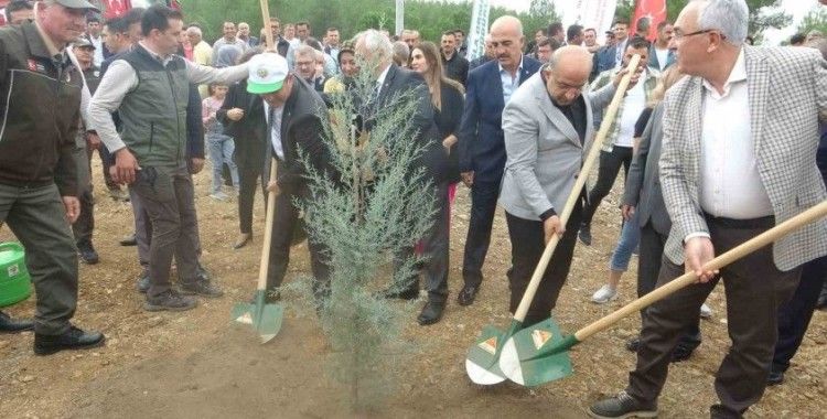 Muğla’da 100. yılda 100 fidan dikildi
