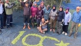Kırkağaçlı çiftçiler topladıkları zeytinlerden 100. Yıl logosu yaptı
