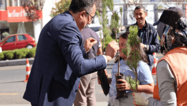 100 bin fidan dağıtıldı