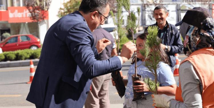 100 bin fidan dağıtıldı