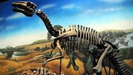 Yüz yıllık bilgi yalanlandı: 'Meğer dinozorları meteor çarpması öldürmemiş'