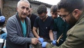 Diyarbakır’da veteriner hekim adayları saha çalışmalarına katıldı
