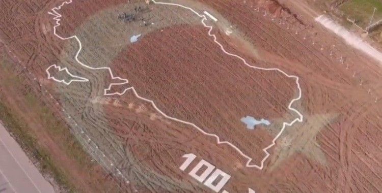 Sinop’ta 100 bin fidan toprak ile buluşacak
