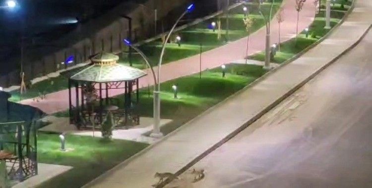 Gümüşhane’de henüz açılmayan parkın şaşırtan ziyaretçileri
