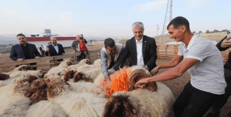 Tahmazoğlu “Hayvancılığa desteğimiz sürecek”