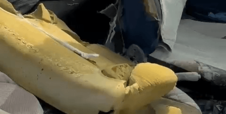 Aç kalan ayılar bu kez kamyonete saldırdı