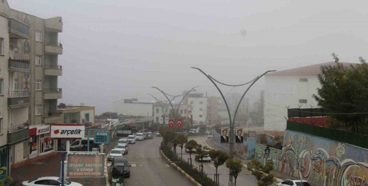 Şırnak’ta sis etkili oldu
