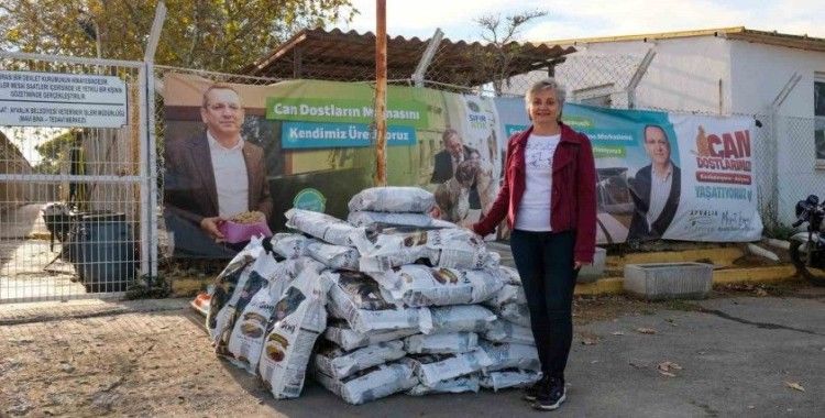 Sergi gelirlerini sokak hayvanlarına harcadı
