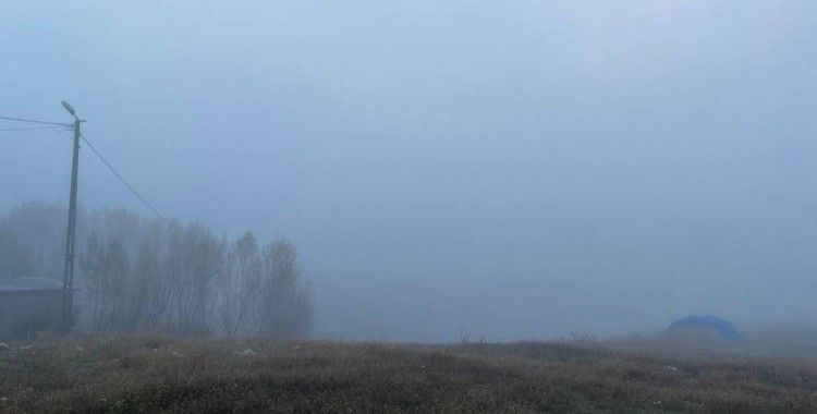 Ağrı soğuk havanın etkisine girdi
